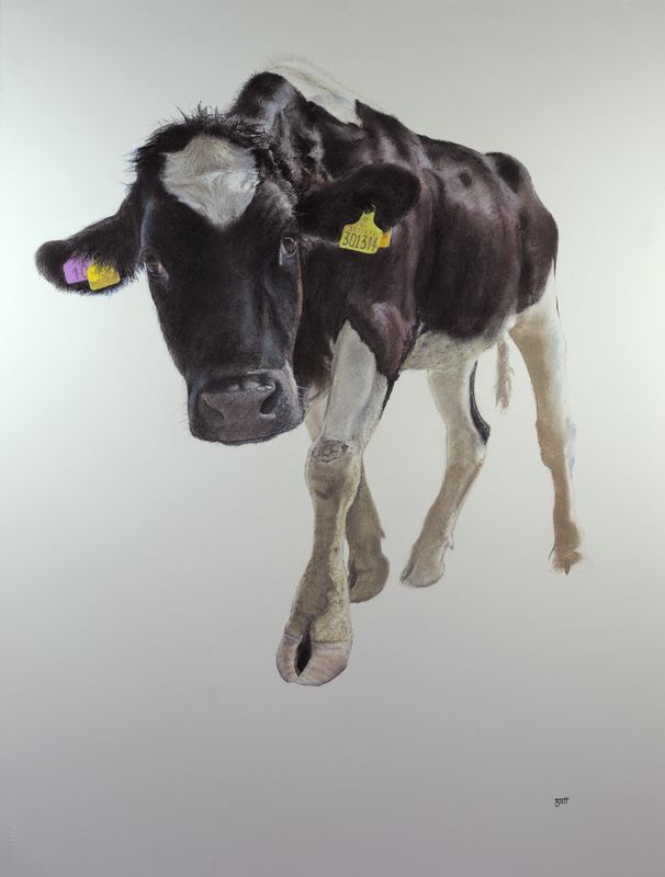 Moon Calf — 30" x 22" · pastel, charcoal