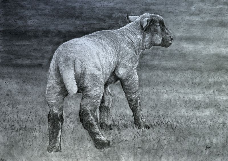 Prophet — 23" x 33" · charcoal