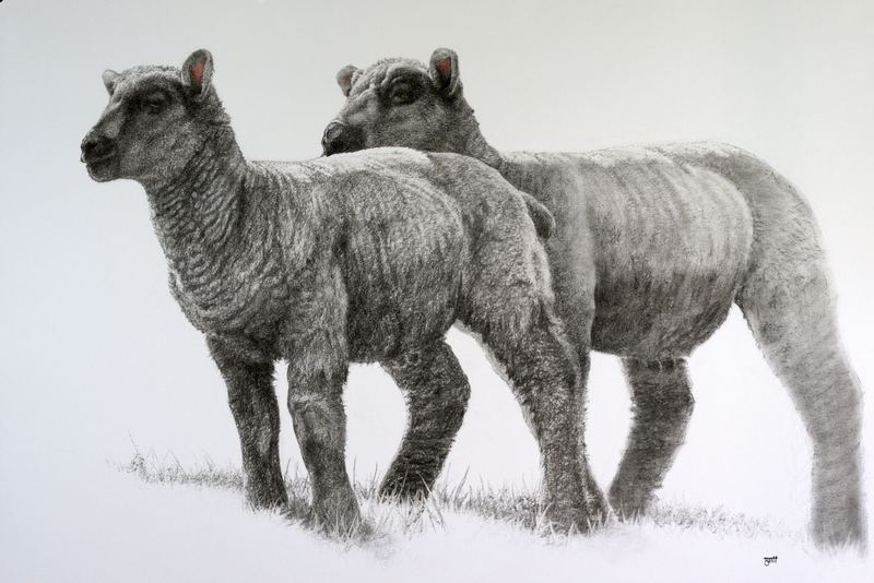 Wise Children — 23" x 33" · charcoal, pastel